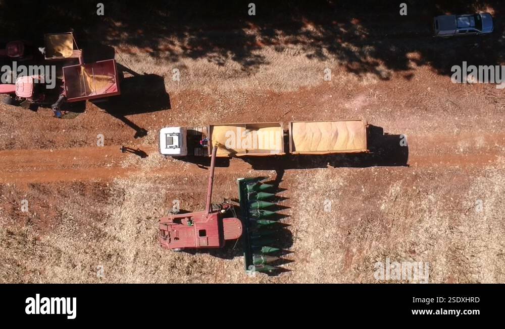 Grain offloading Stock Videos & Footage - HD and 4K Video Clips - Alamy