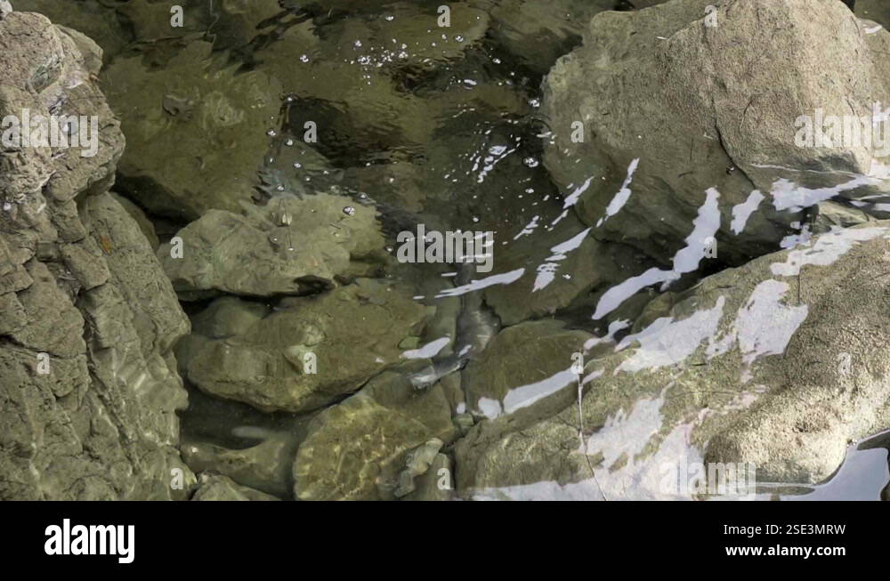 Stone Splashing Lockdown: Stone splashing water amidst rocks at national park-Bungonia ...