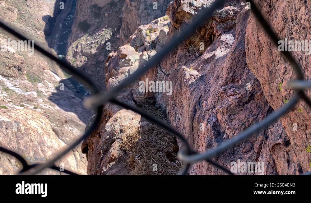 Arkansas River Grand Canyon, Royal Gorge rocky abyss through wire mesh ...