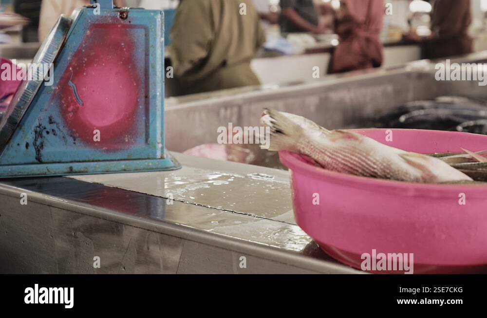 Muscat Fish Oman muscat fish market Stock Videos & Footage - HD and 4K Video Clips ...