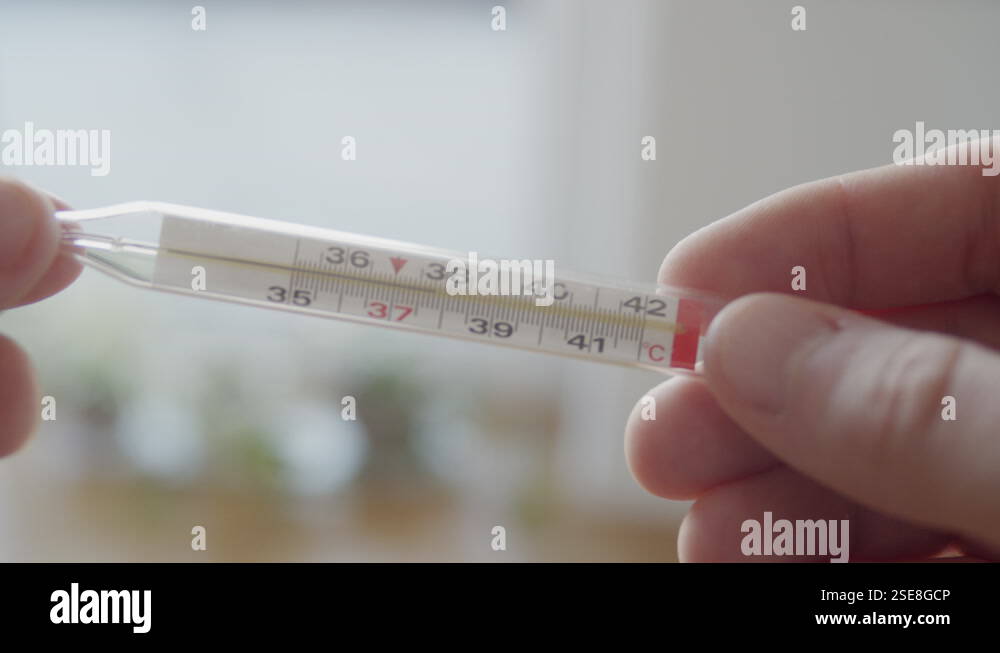 Taking temperature. Checking temperature on glass thermometer Stock ...