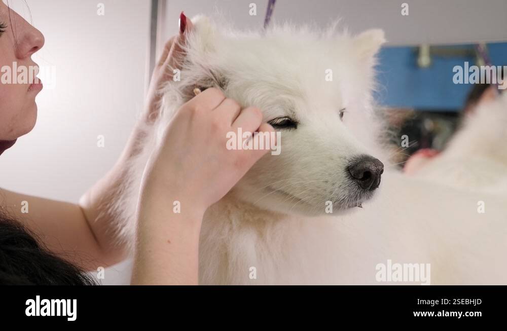 Image showcasing AudrenTM - Reusable Adhesive Earwax Removal Swabs, Safe & Gentle for ...