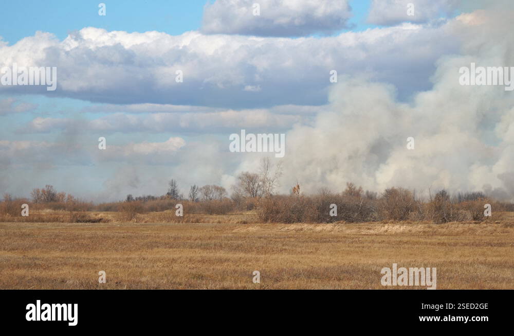 Smoke from a forest fire rises into the sky on a sunny autumn day Stock ...