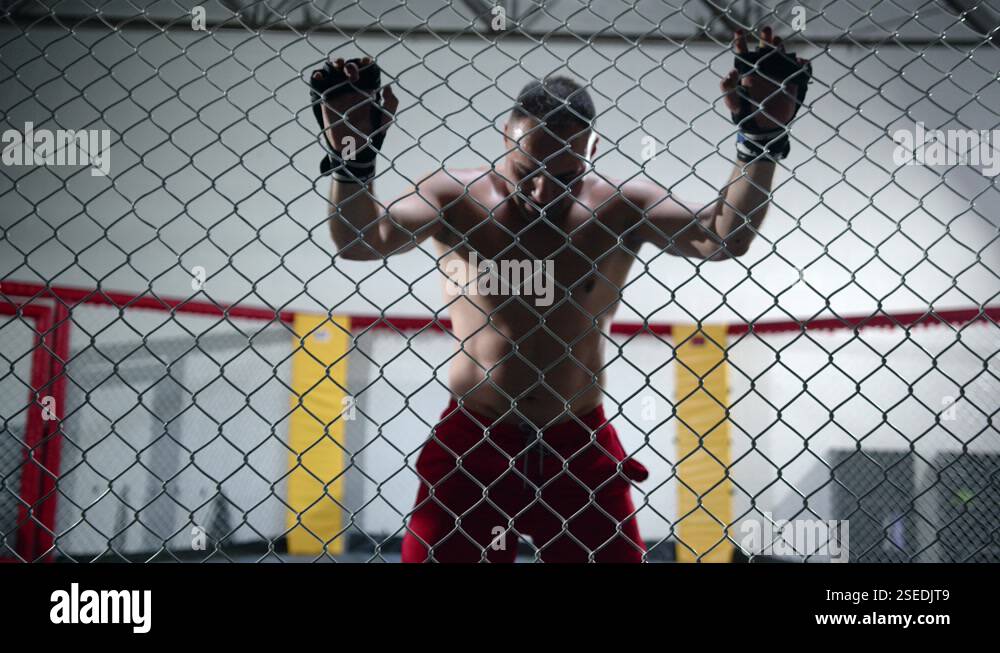 Anger Fighter Muscular MMA fighter is hitting the octagon cage in anger. Fighter is ...