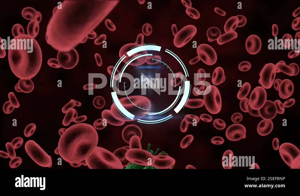 Animation of circular scanner rotating over red blood cells Stock Video ...