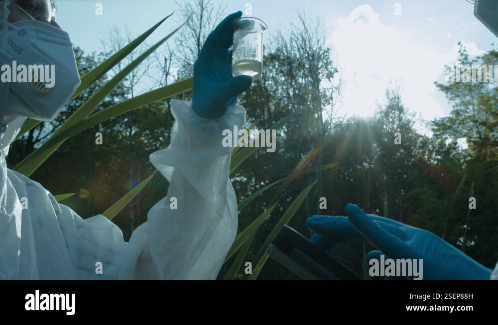 Swamp Testing Chemists wearing ppe suits taking sample of swamp water for toxicity ...