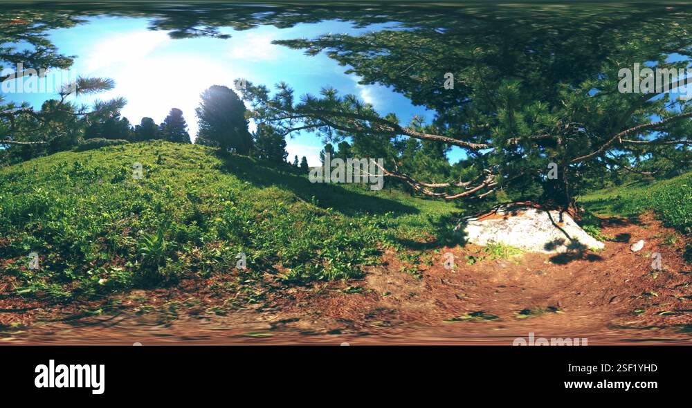 Uhd 4k 360 Vr Of Green Mountain Forest Sun Rays And Shadow Grass And