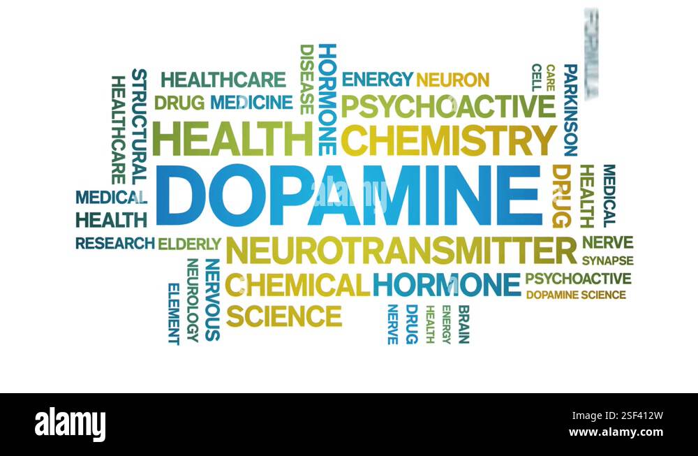 Dopaminergic System - an overview | ScienceDirect Topics