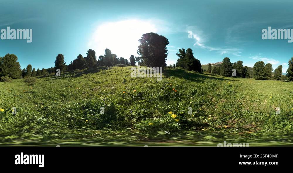 Uhd 4k 360 Vr Of Green Mountain Forest Sun Rays And Shadow Grass And