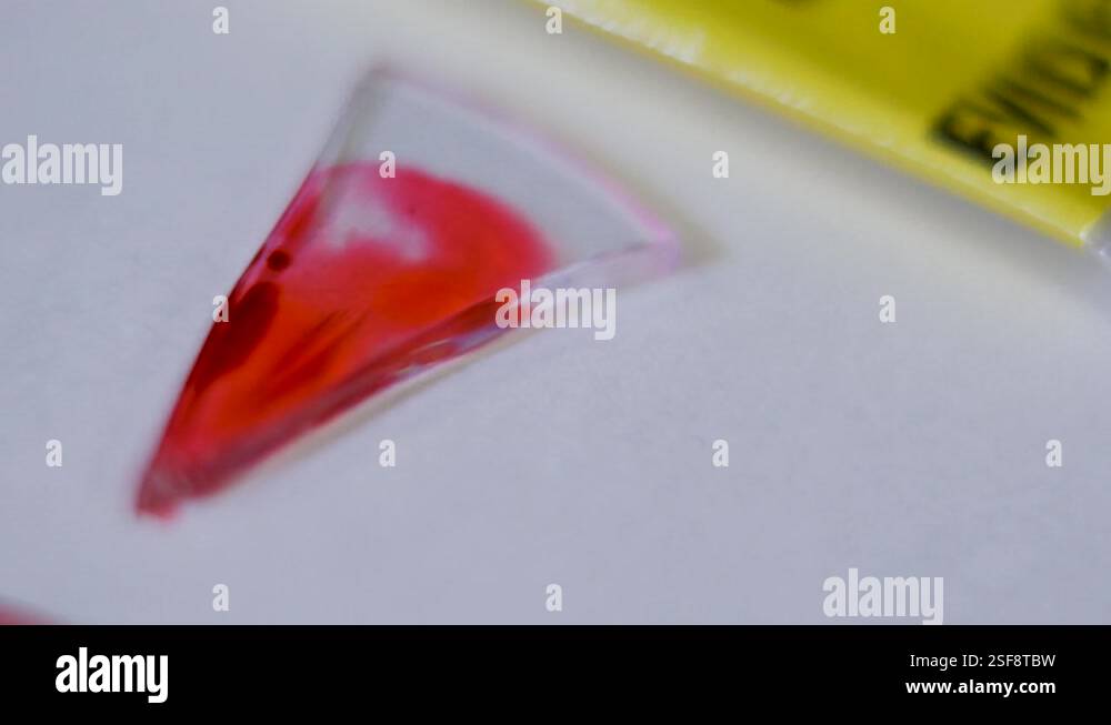 Crime Scene Sharp Glass with Blood and Evidence Tags Epic Cinematic ...