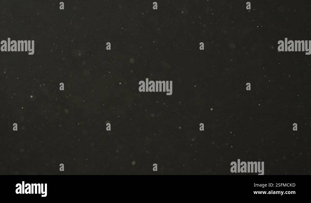 Sunlight Particles Slow motion real dust particles floating in the air with natural ...