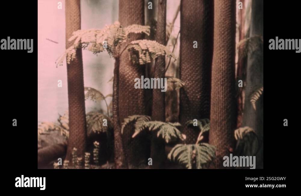 1950s: Lizard crawling along the jungle floor. Models of tall ancient ...