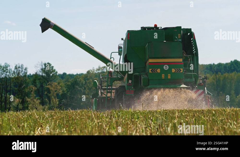 Green combine harvester watering the rapeseed field after harvesting ...