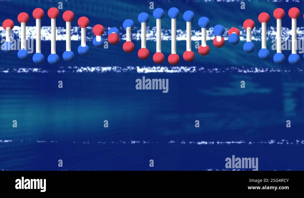 Animation of dna strand over data processing and binary coding Stock ...