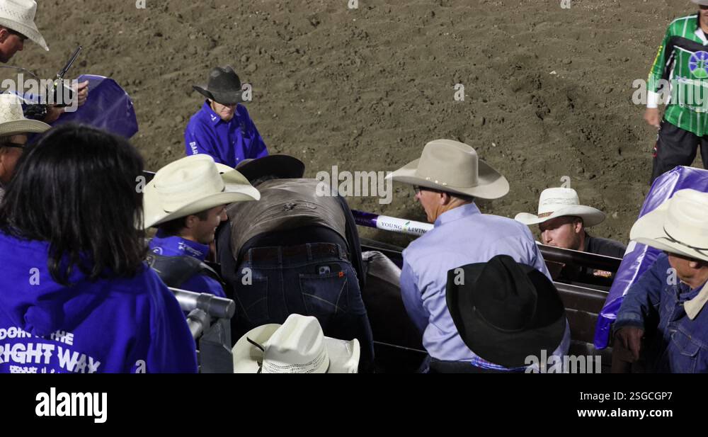 Rodeo bull rider ready Wright family 8K Stock Video Footage - Alamy