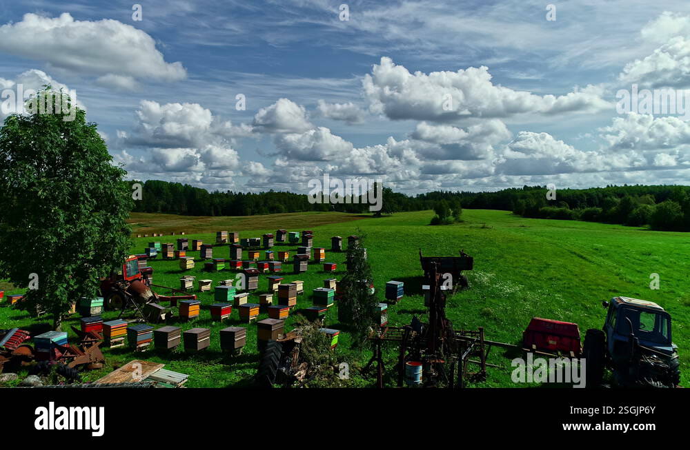 Colored hives in bee farm with rural landscape in background. Aerial ...