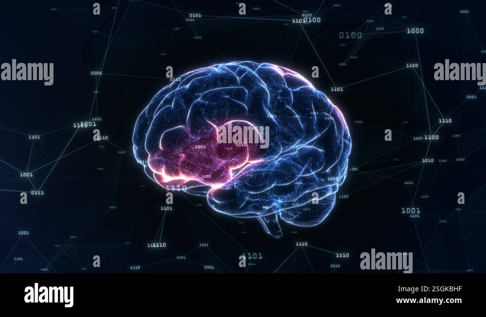 3D animation of neuronal activity in the human brain Stock Video ...