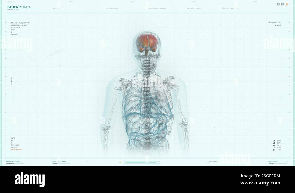 Projection Of Human Body X-Ray In Future Anatomy Diagnostic Monitoring ...