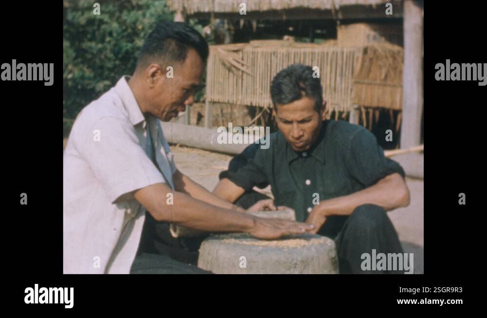 1950s: Two men stand by pile of rice. Man runs rice through his fingers ...