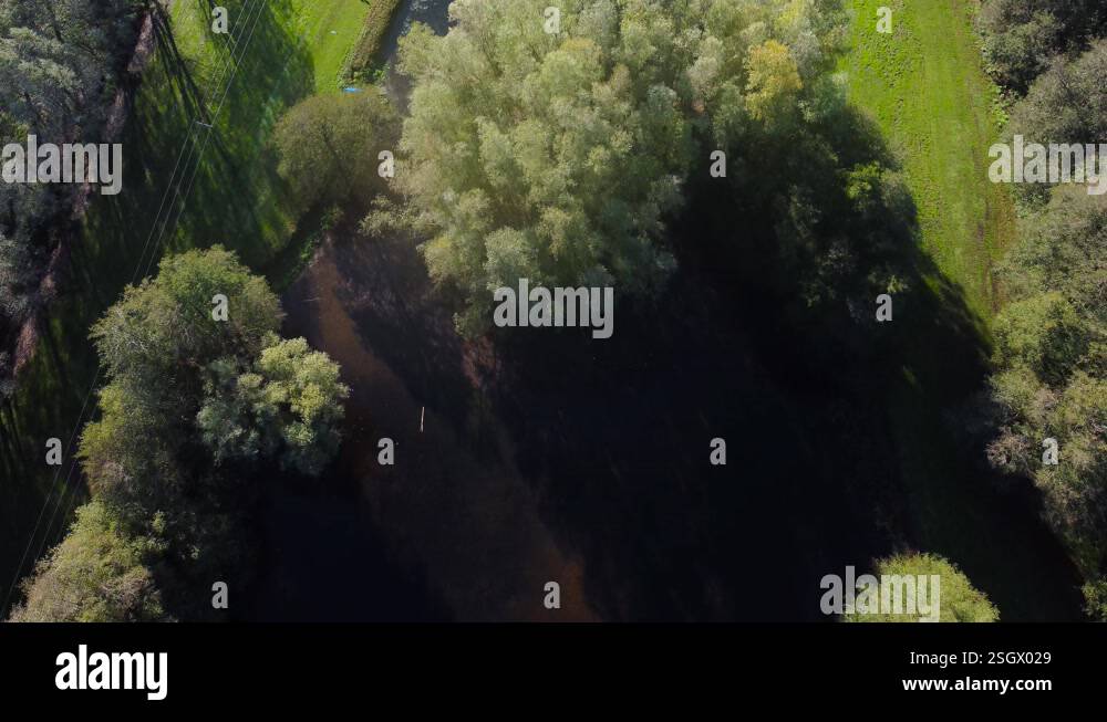 Top down drone shot moving backwards of forest consisting of trees with ...