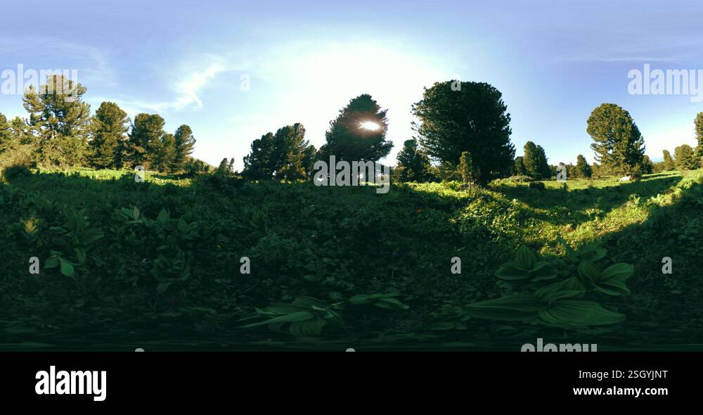 Uhd 4k 360 Vr Of Green Mountain Forest Sun Rays And Shadow Grass And