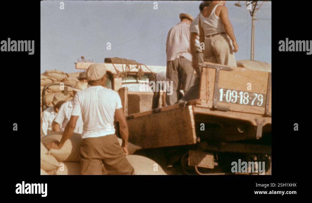 Brazil 1960s: Pallet load of cacao sacks. Workers unload sacks from a