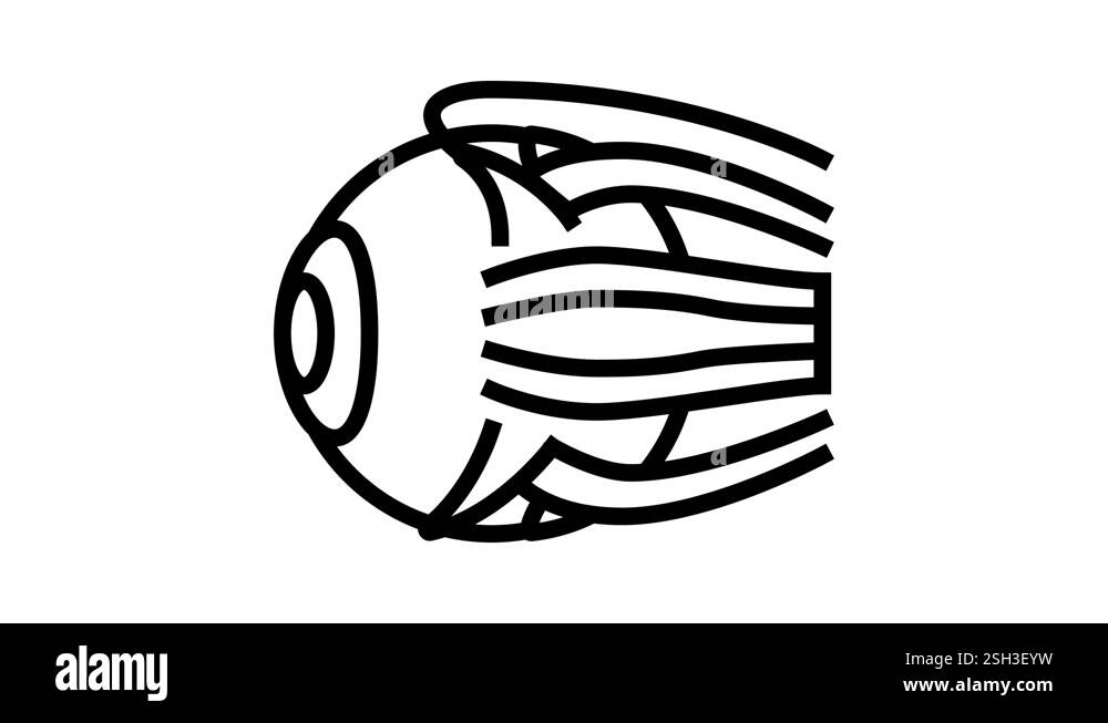 Line eye human anatomy Stock Videos & Footage - HD and 4K Video Clips ...