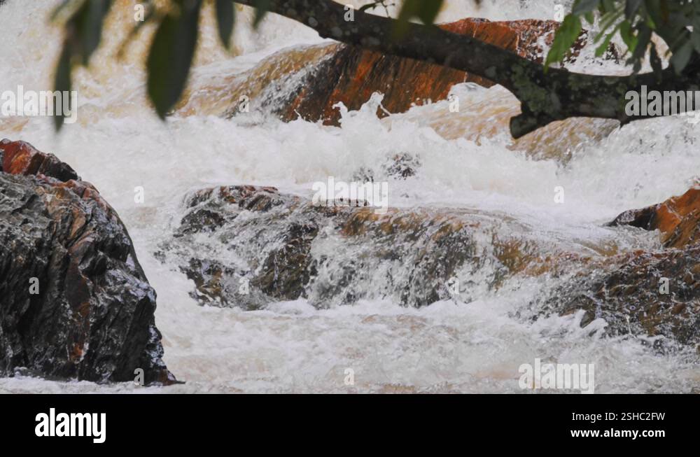 Rushing river water in the Amazon rainforest environment Stock Video ...