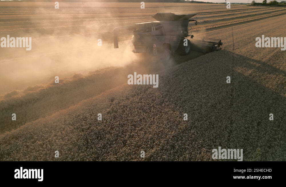 Back of Combine Harvester Harvesting at Golden Hour Sunset with Orange ...