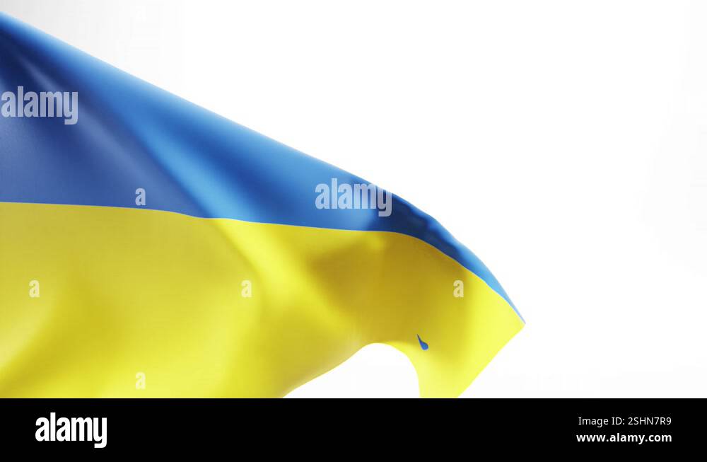 Ukrainian flag waving in breeze against white background; 3D animation ...