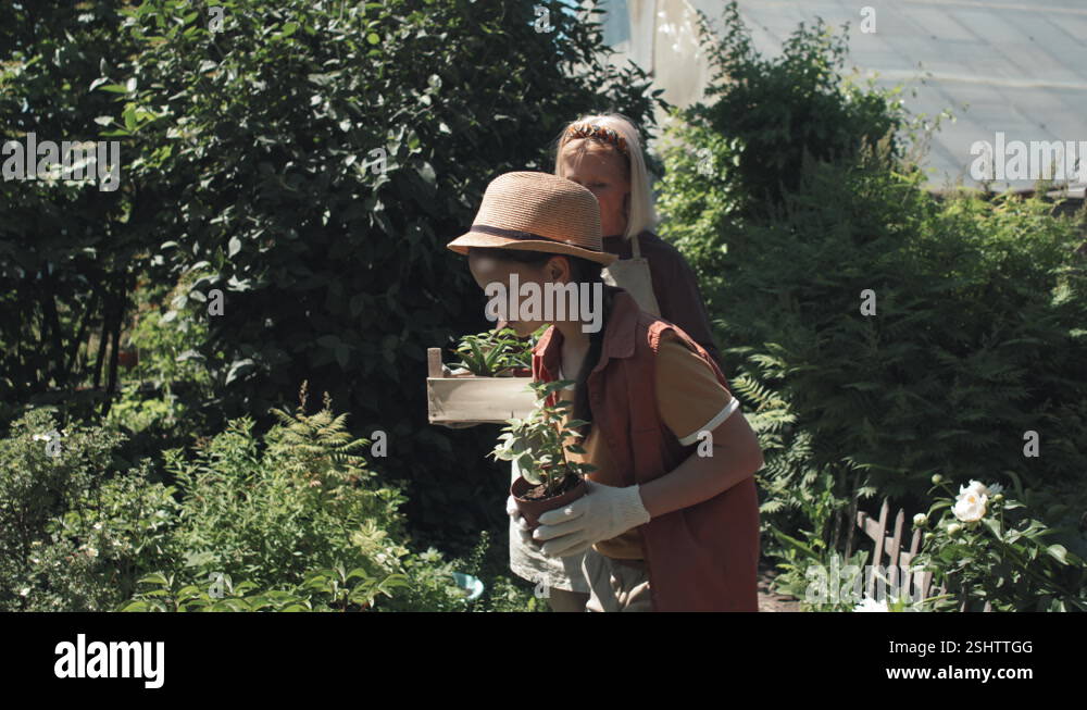 Granny Garden Stock Videos Footage HD And 4K Video Clips Alamy granny-garden-stock-videos-footage-hd-and-4k-video-clips-alamy
