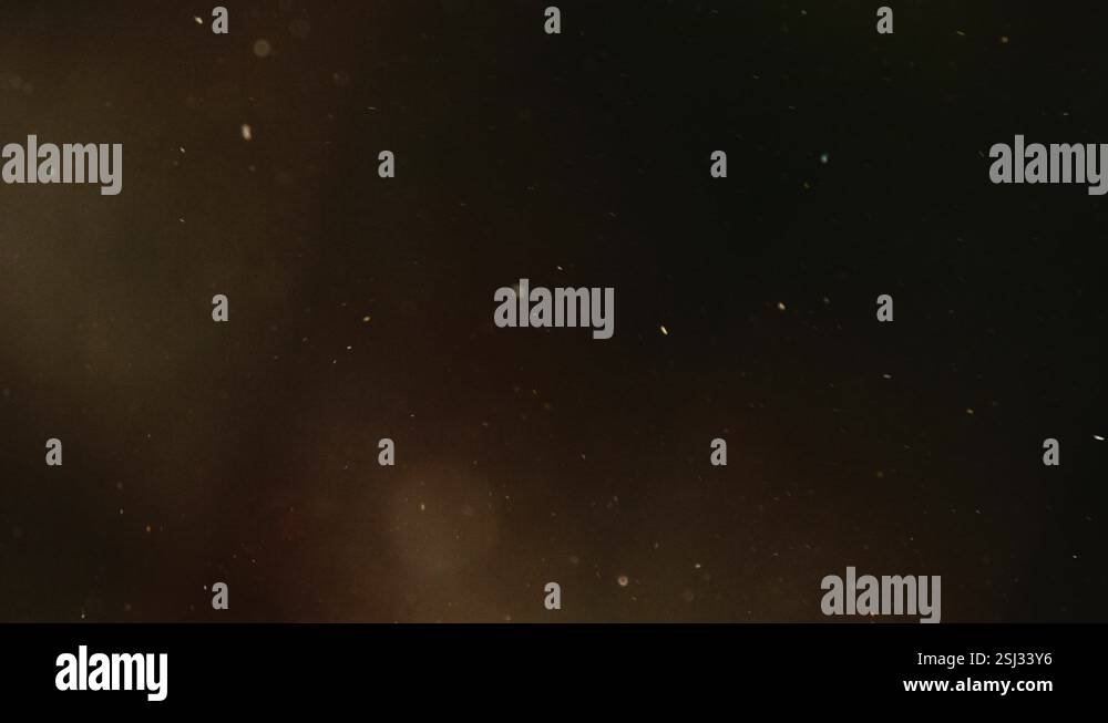 Sunlight Particles Dust particles floating golden sunlight slow motion 4K Stock Video ...