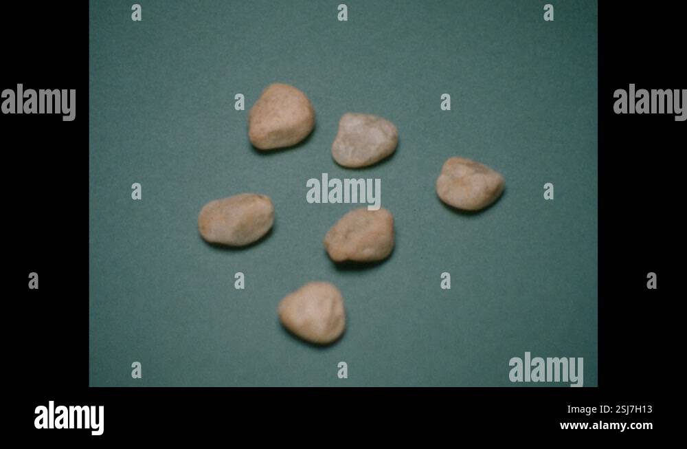 1960s: Six rocks sit on tabletop. Hand places rocks next to six toy ...