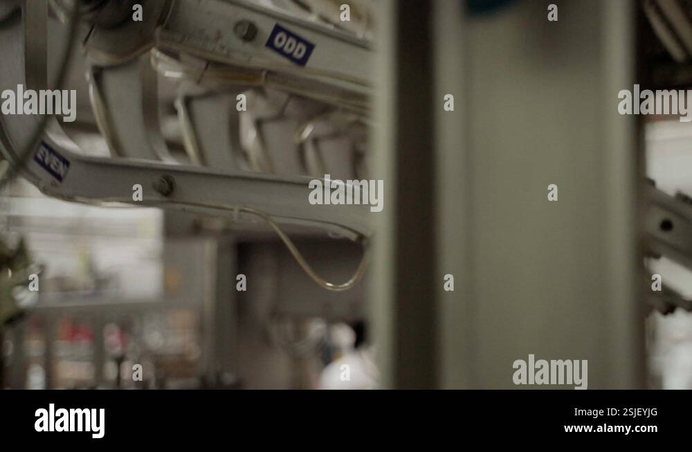 Millionaire Flavour Fudge Bar. Three Layers Of Vanilla Biscuit Flavour, Caramel Flavour And Belgian Chocolate Layer Creates This Wonderful Fudge. The Chuckling Cheese Company