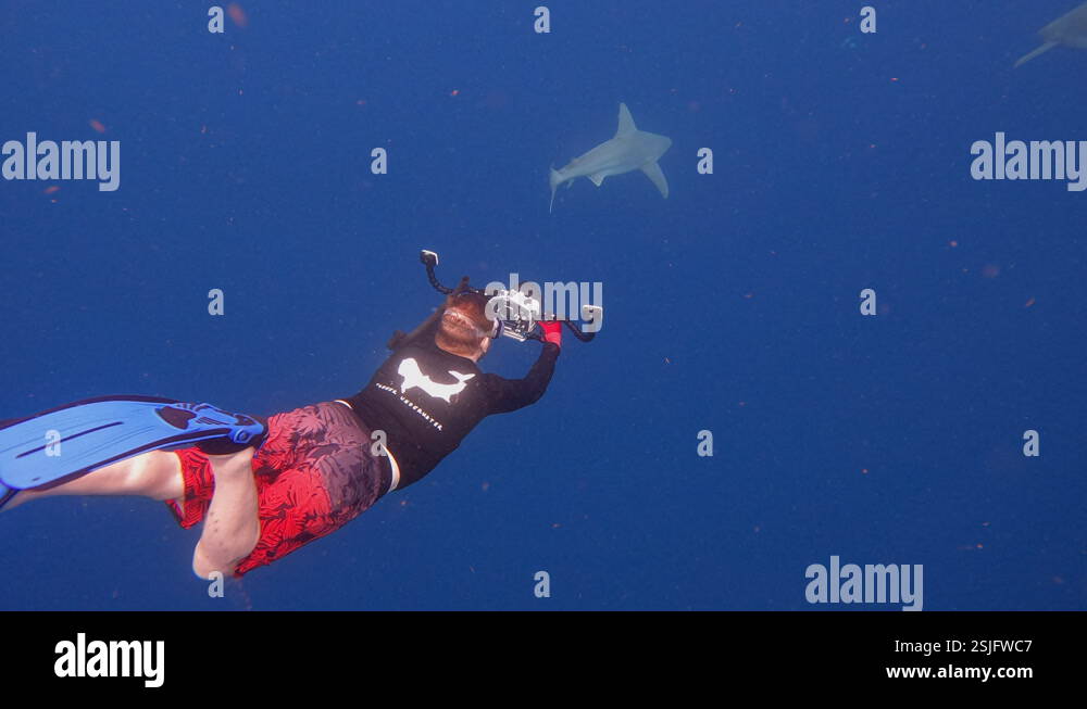 Underwater photographer swims after shark to take a photo from behind