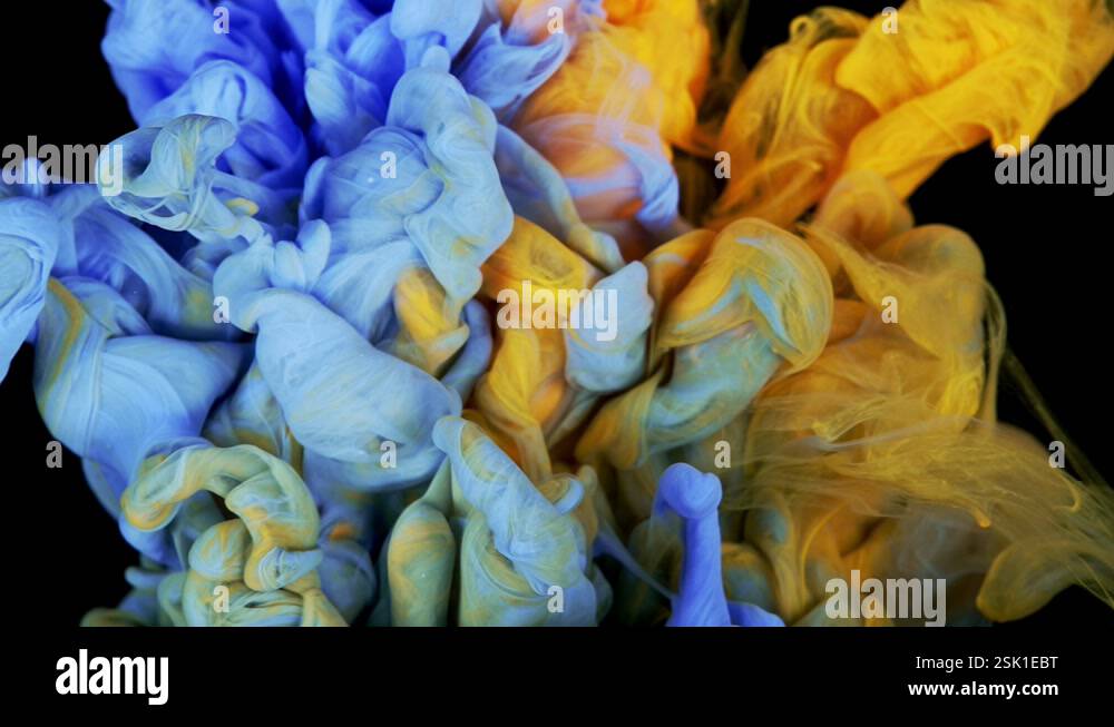 Arcrylic paints of different colors dissolve in water on a black ...