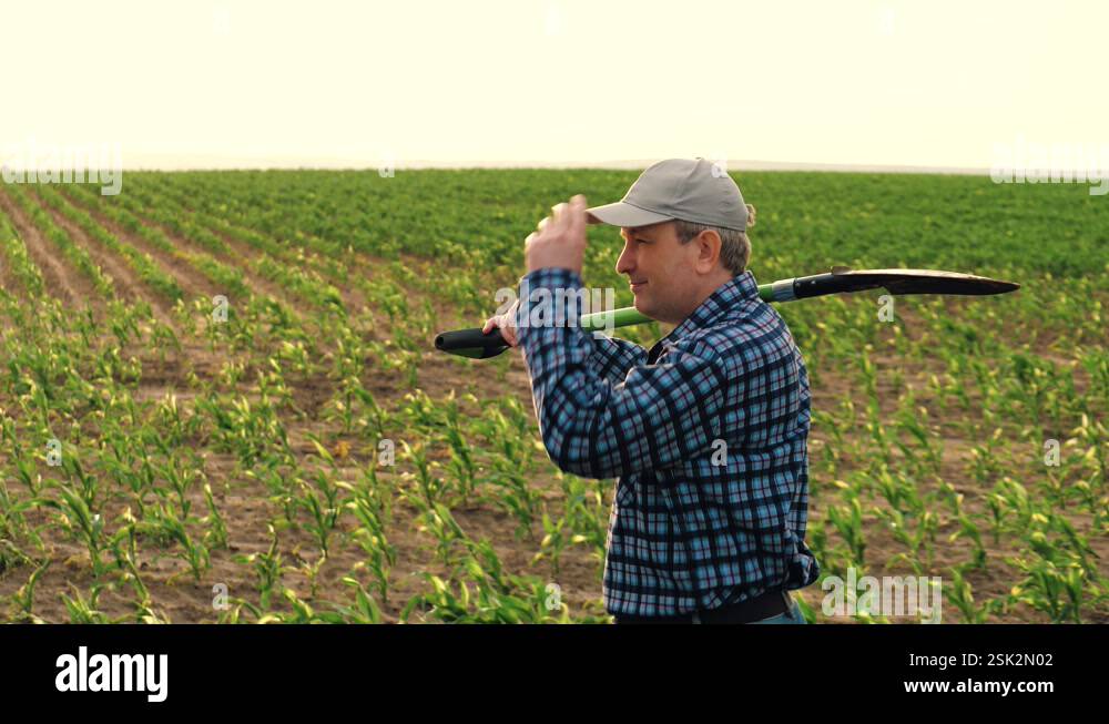 farmer shovel corn field, work field with shovel, smile face portrait ...