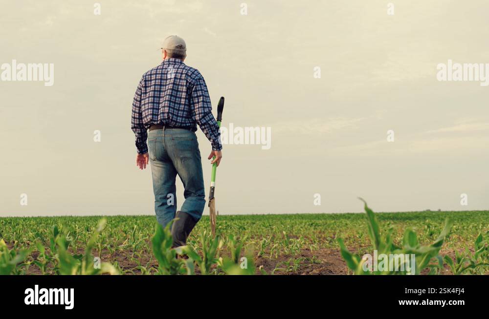 farmer shovel corn field, work field with shovel, smile face portrait ...