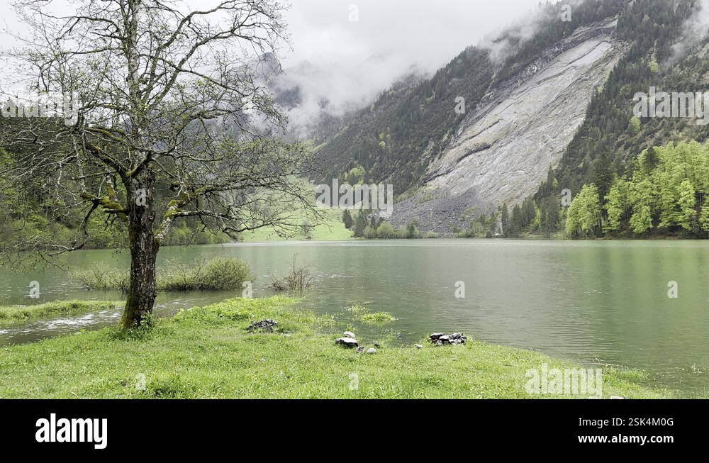 Lake stream field with mountains in the background.Switzerland. Static ...