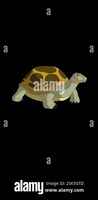 Turtle. Handmade 2D animated 4K footage isolated on alpha channel ...