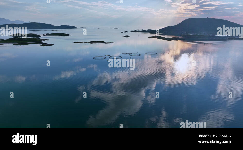 Gallery image with a fresh perspective