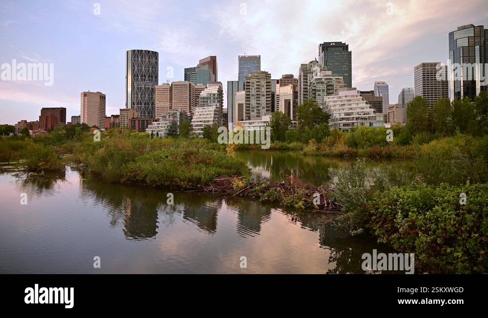 Skyline of Calgary Alberta early in the morning in fall Stock Video ...