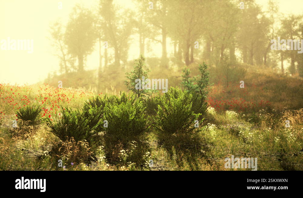 Idyllic landscape in the Alps with fresh green meadows and blooming ...