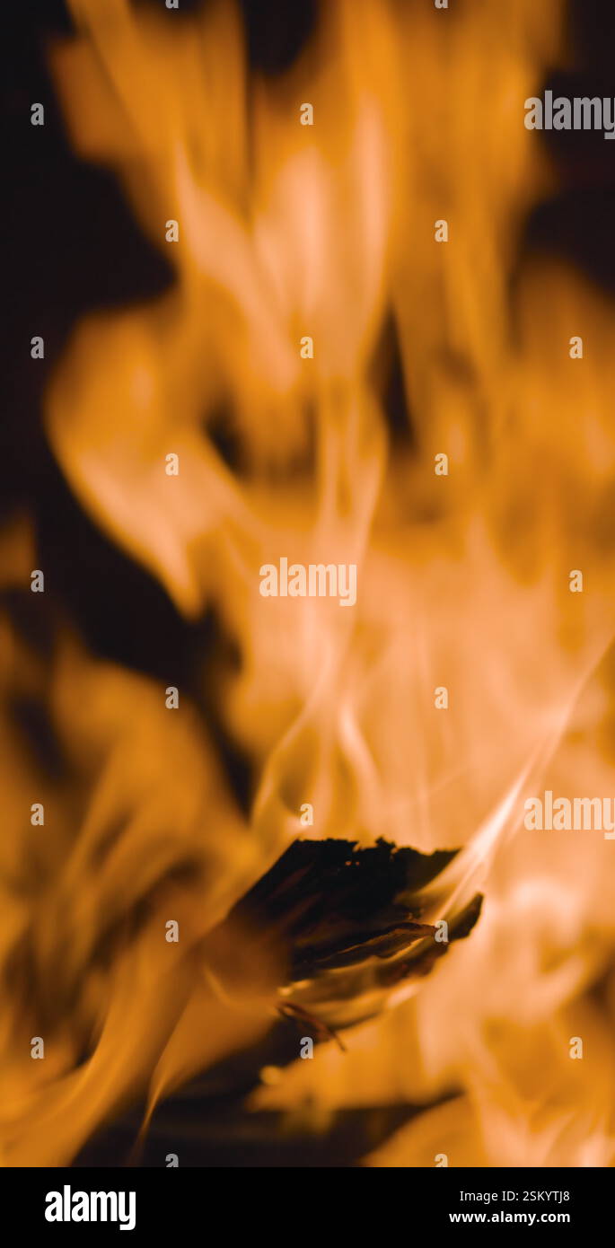 Fire burning in fireplace. Log wood in flames. Vertical video recorded ...