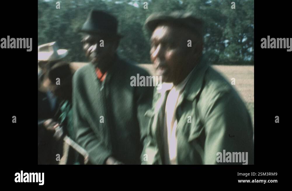 1970s: Four black men with a rope count and try to pull tree stump from ...