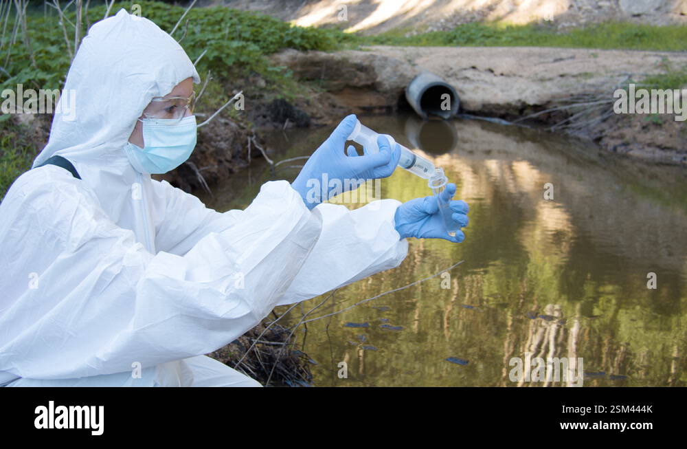 Female ecologist sampling water from the river. Water pollution ...
