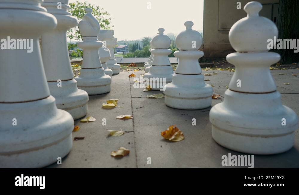 Unusual Leisure Activities