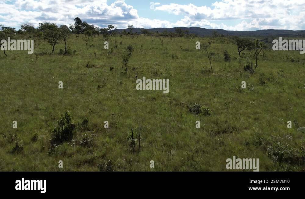 aerial view of fields cerrado and hills in Chapada dos Veadeiros ...