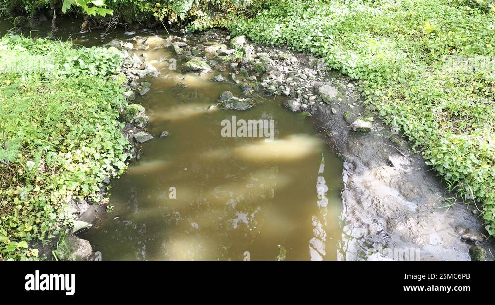Contaminate A Stream Reference: A Stream Contaminated By Farm Slurry In Feizor Yorkshire Dales
