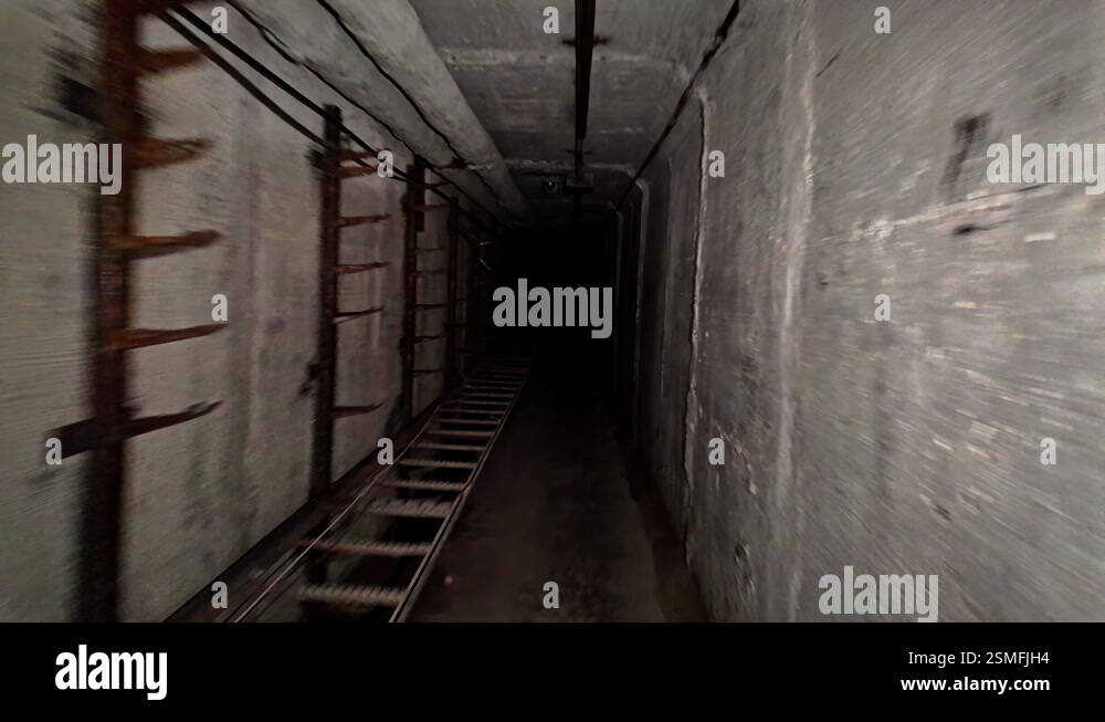 The Long Goodbye: Exploring the Rise of Bunker Obituaries in the Modern Era